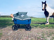 Beachwagon Huif voor LITE+STURDY